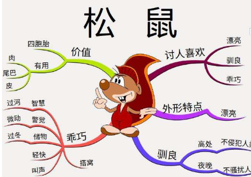 松鼠的思維導圖