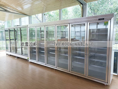 冷柜價格-農產品展銷配送中心食品冷藏冷凍展示柜選購